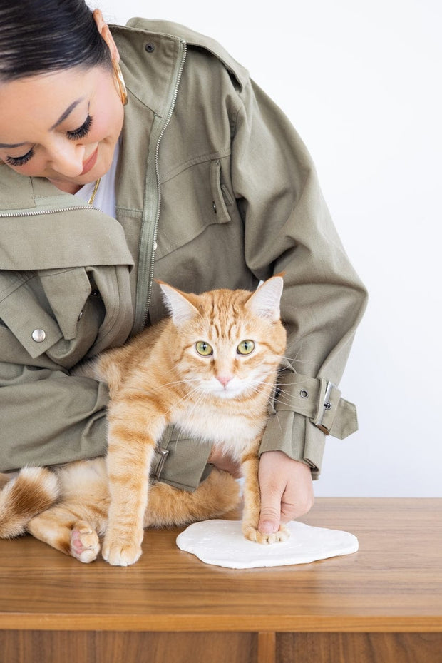 Pearhead Pawprints Keepsake Photo Frame & Clay Impression Kit Home